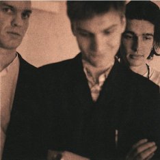 A picture of some of the 'Pil for your general enjoyment
